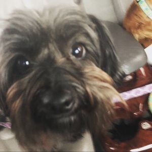 Meet your Posher, Emma